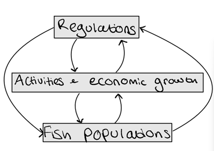 Diagram 1: Fisheries system